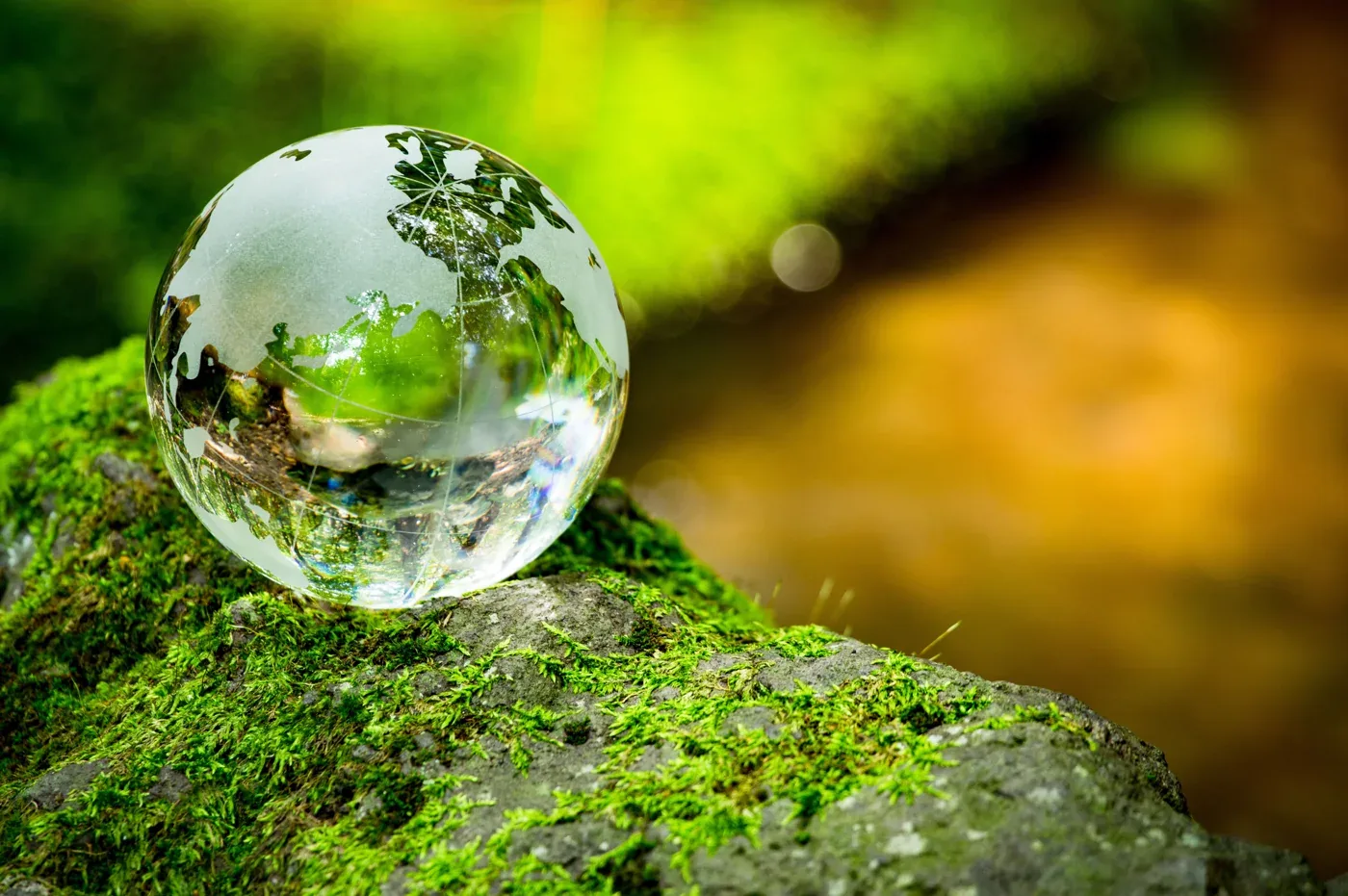 AdobeStock_171450045 (1).jpeg