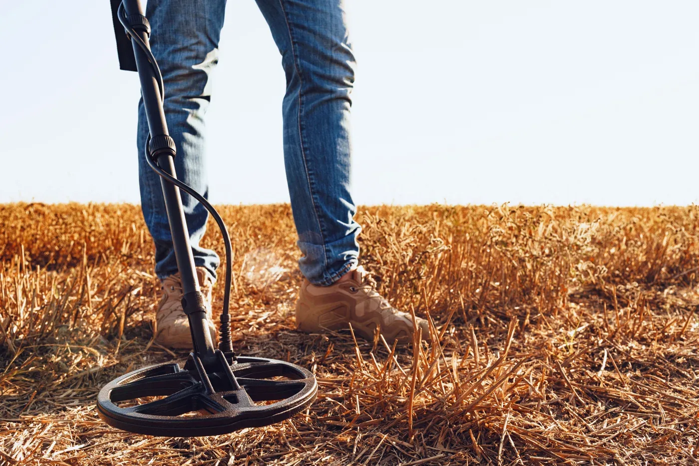 AdobeStock_388031087.jpeg